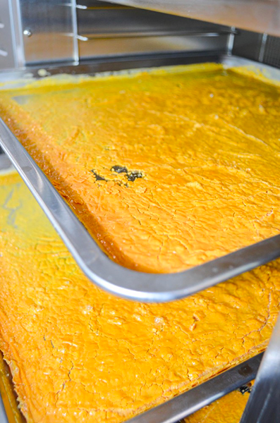 can you dehydrate eggs in a food dehydrator1