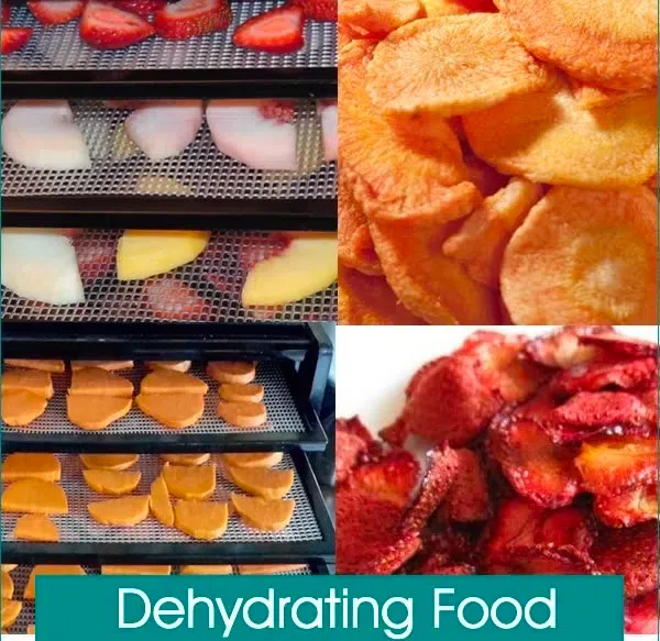 How To Make Your Own Food Dehydrator?