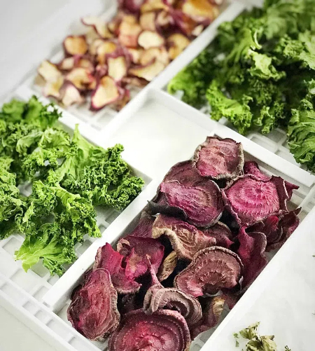 How To Use A Cabinet Type Dehydrator for Vegetables Effectively_1