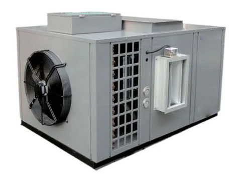 What To Look for in A Food Dehydrator?