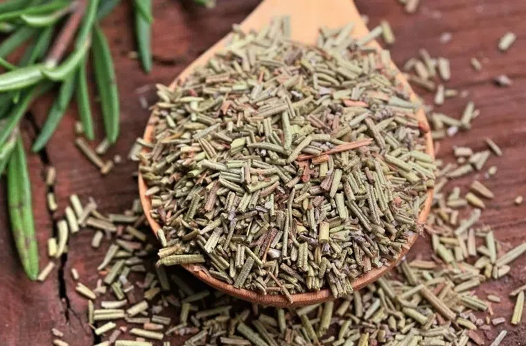How To Dehydrate Rosemary in Food Dehydrator?
