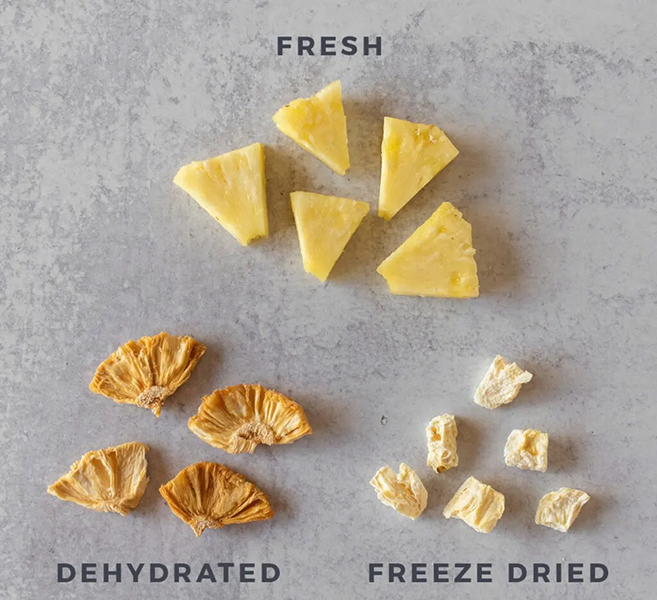 can you freeze dry food in a dehydrator3