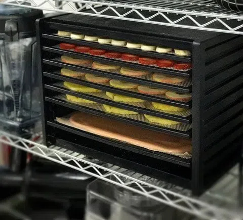 Essential Maintenance Tips for Your Cabinet Type Dehydrator