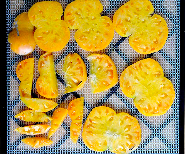 how much electricity does a food dehydrator use2