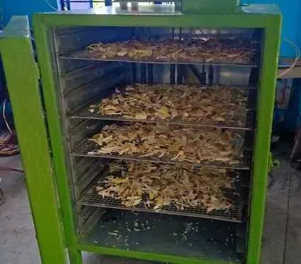 fruit dryer machine india4