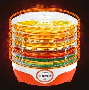 fruit dryer machine 4