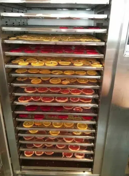 fruit dryer machine kmart2