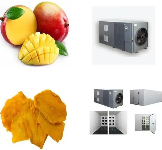 Comparing The Latest Dryer Machine Technologies