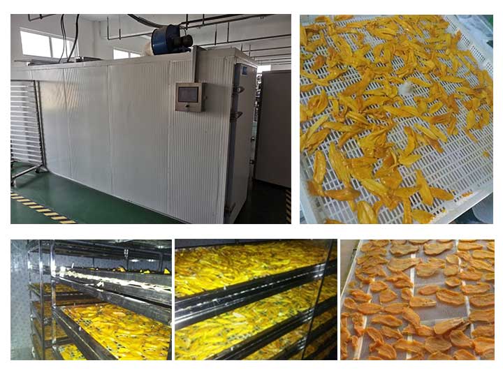 How Dryer Machines Are Reshaping The Fruit And Vegetable Industry?