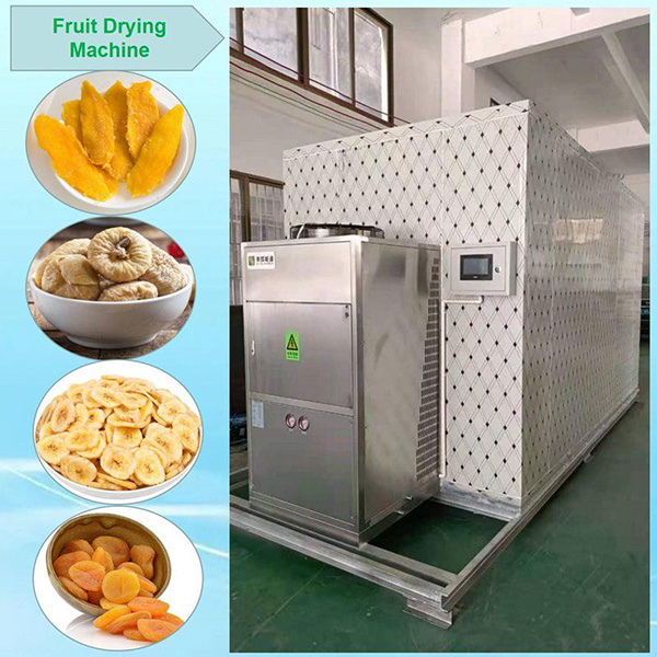 Unexpected Uses for Your Food Drying Machine