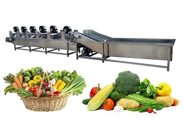 Choosing The Best Vegetable And Fruit Dryer Machine for Your Needs