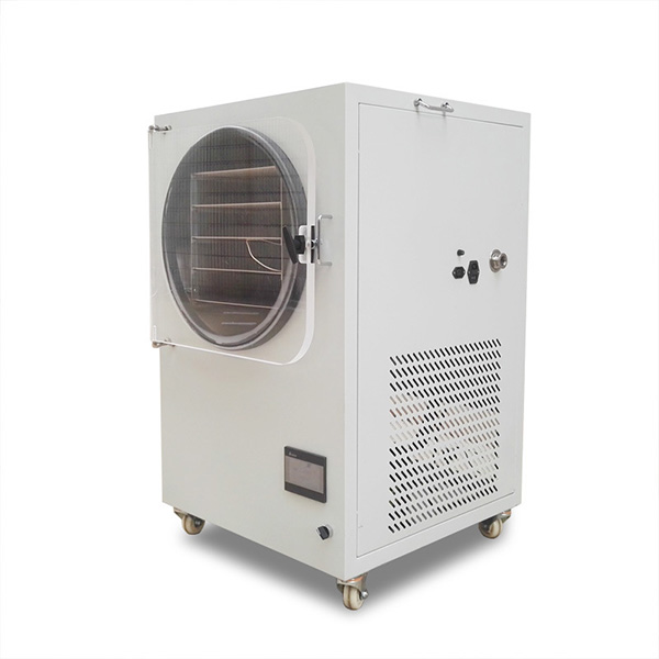 freeze-dryer-fruit-machine1