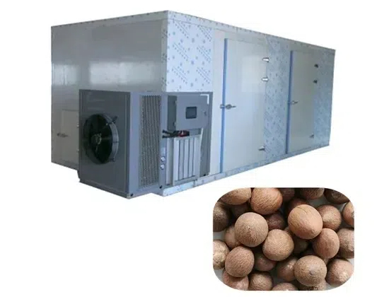 Room Type Drying Machines: Cost Vs. Benefits