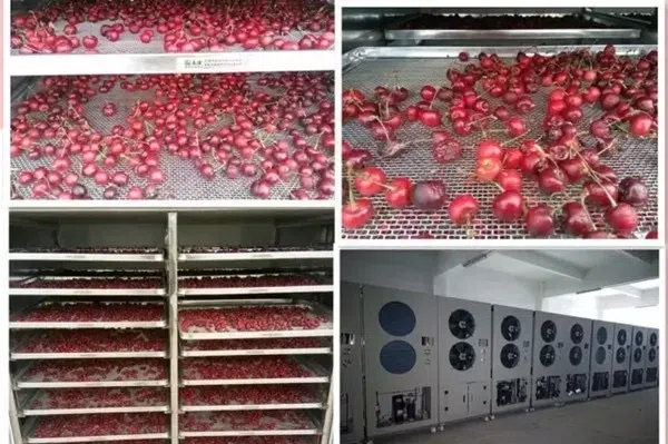 Exploring The Economic Advantages of JIMU&rsquo;s Drying Solutions2