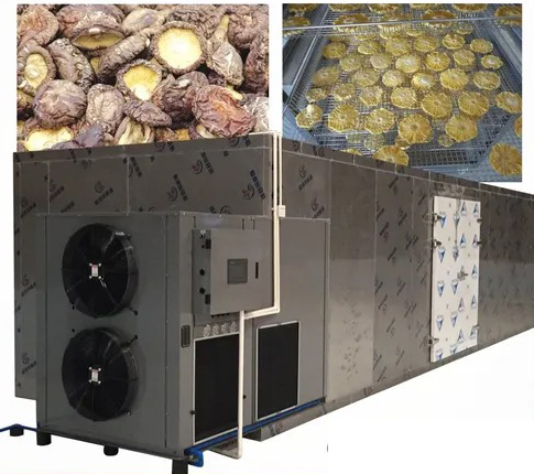 Room Type Drying Machines: The Benefits of Negative Pressure Design