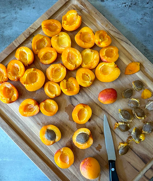 how to dehydrate apricots in a food dehydrator