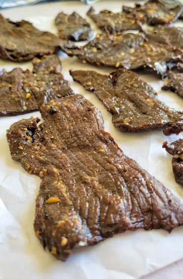 how to use food dehydrator for meat2