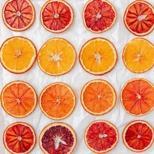 What Is The Best Food Dehydrator for The Money?