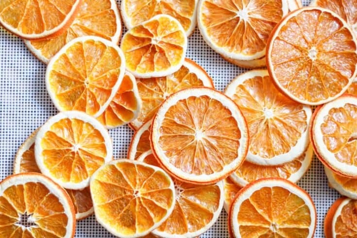 what temperature does a food dehydrator work at1