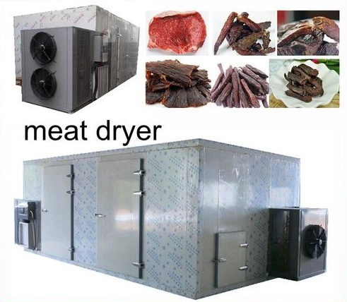 When Was The Technology Behind Heat Pump Dryers First Developed?