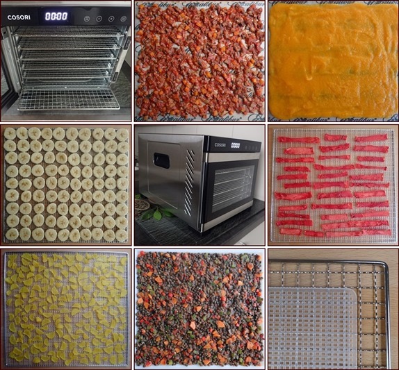 How To Choose The Right Cabinet Type Dehydrator for Your Needs?