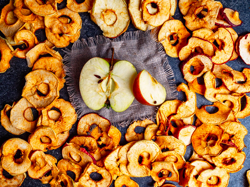 what to make with food dehydrator2