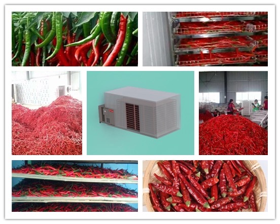 How To Choose The Perfect Vegetable Drying Machine for Your Business?