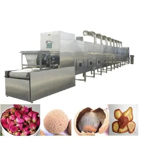 Choosing The Right Fruit Dryer Machine in Australia
