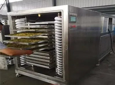 fruit dryer machine factory4