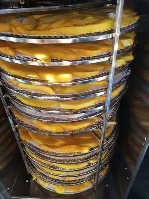 heat pump dryer or condenser3