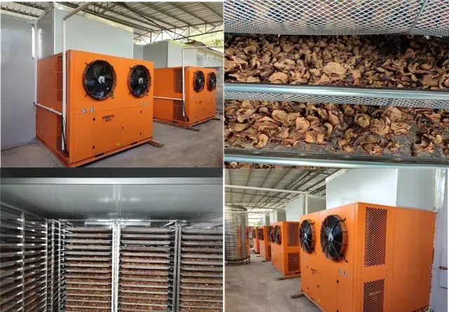 Advanced Drying Technologies for Healthier Options