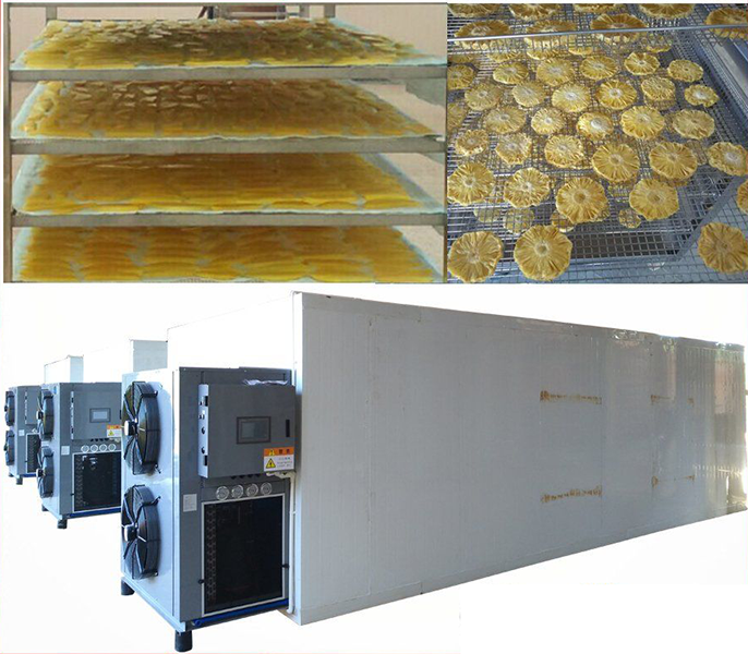 fruit dryer machine4