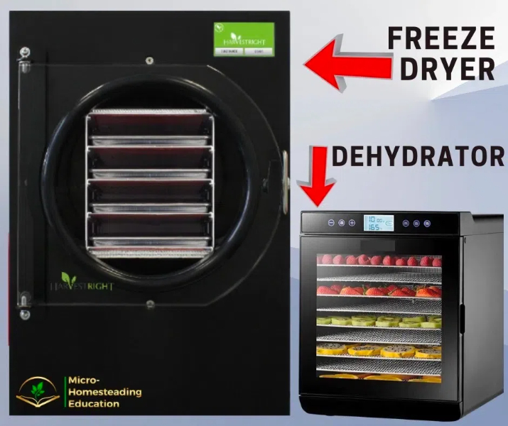 Freeze Dryer Vs Dehydrator for Long-Term Food Storage
