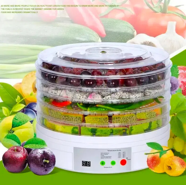 Home Fruit Dryers Are Changing The Game