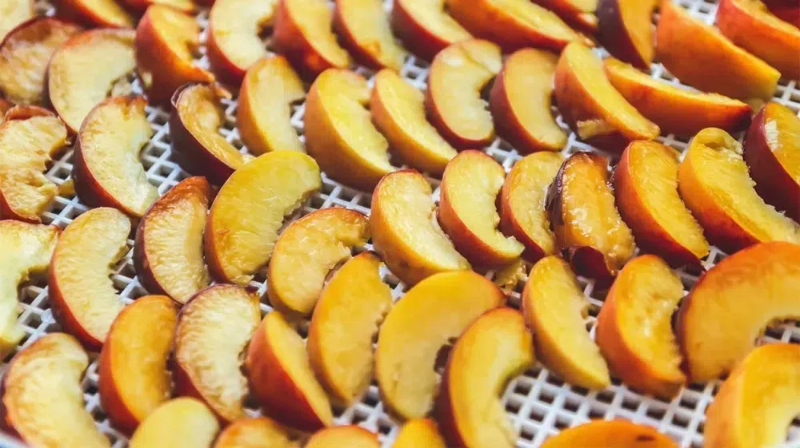 what foods are best for machine dehydration