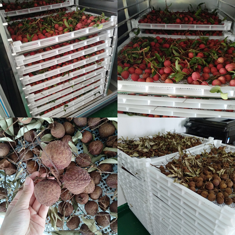 How to dry Lychee or other plum fruit?