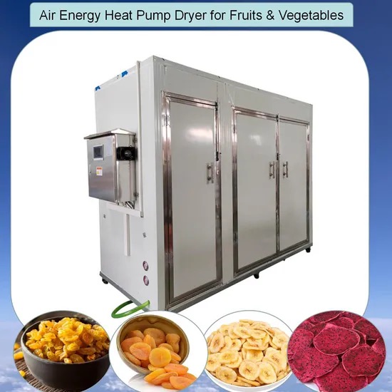 Creating Delicious Dried Snacks with A Cabinet Type Dehydrator2