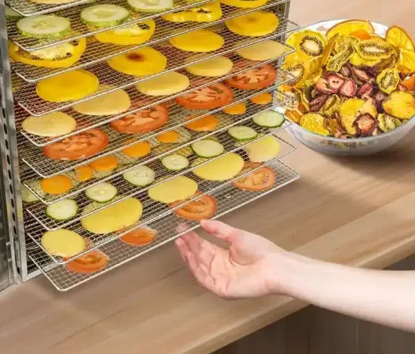 What You Need To Know About Operating A Cabinet Type Dehydrator2