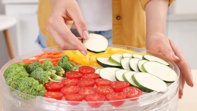 Best Practices for Using Your Cabinet Type Dehydrator Effectively1