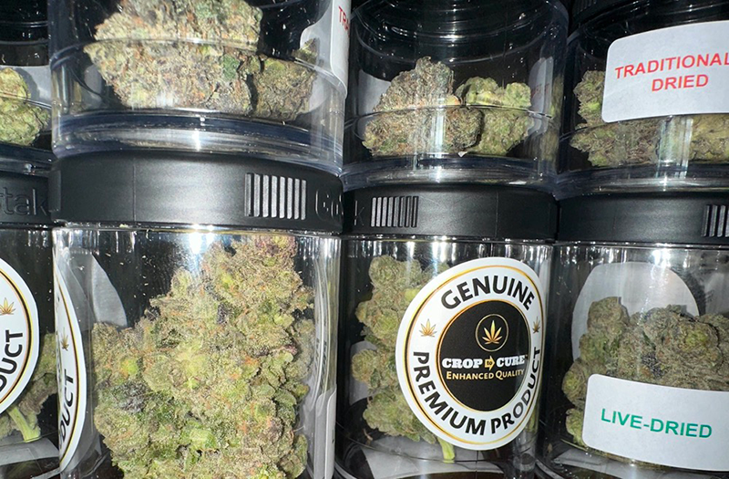 can you dry weed in a food dehydrator2