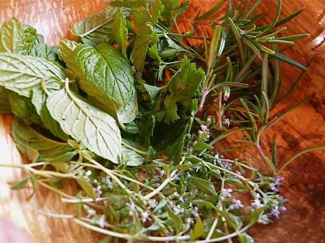 how long to dehydrate herbs in food dehydrator1
