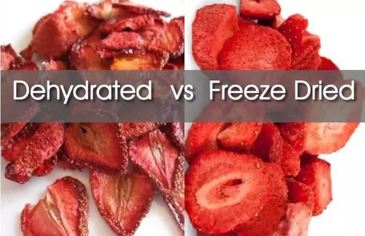 Is A Food Dehydrator A Freeze Dryer?