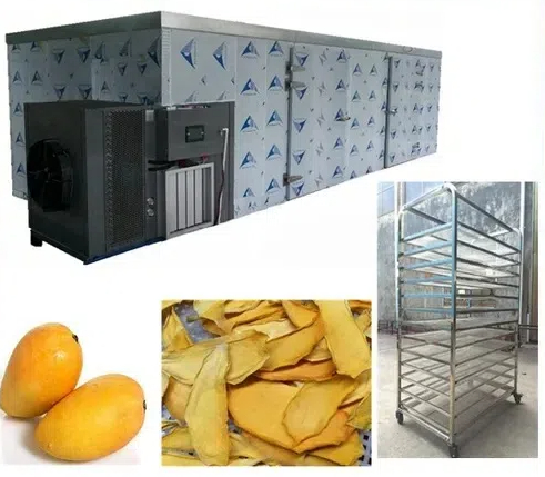 what is a food dehydrator good for1