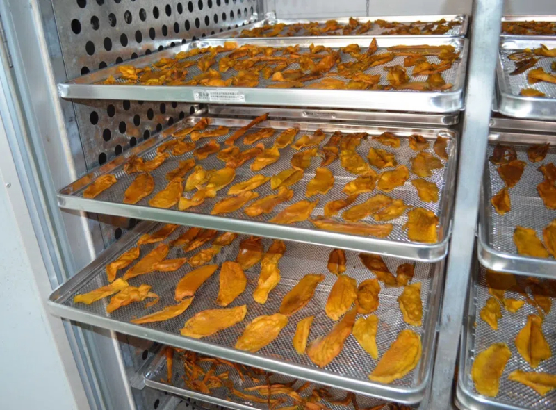what food dehydrator should i buy2