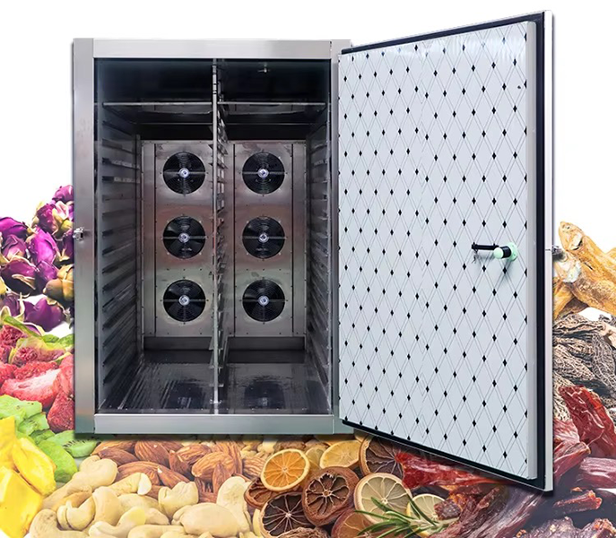 What To Make with Food Dehydrator?