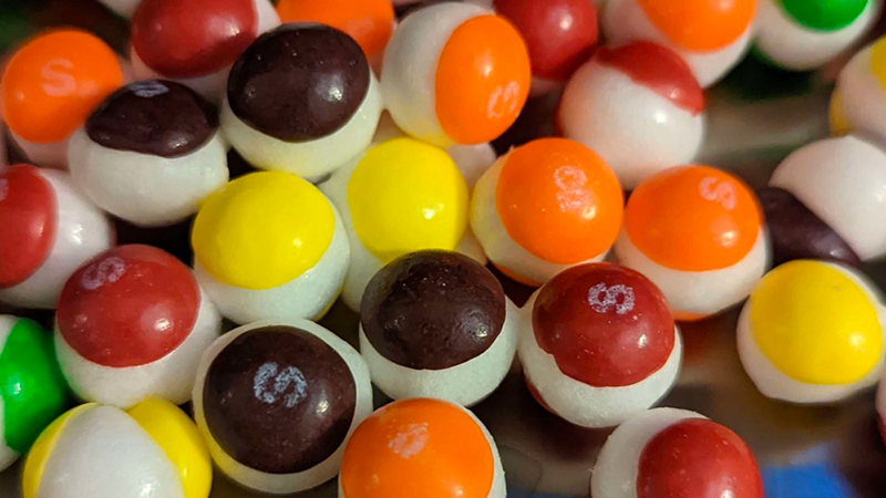 can you use a food dehydrator to freeze dry candy2