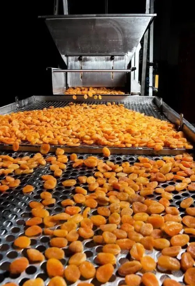 fruit dryer machine ebay1