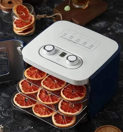The Latest Innovations in Fruit Dryer Machines