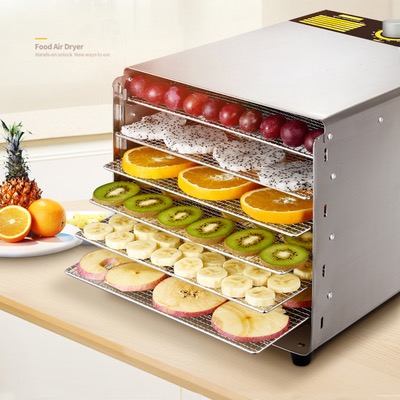 A Beginner's Guide To Fruit Drying Machines