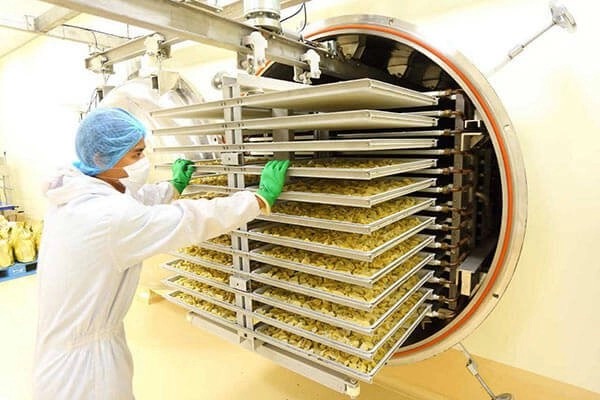 freeze dried food machine4